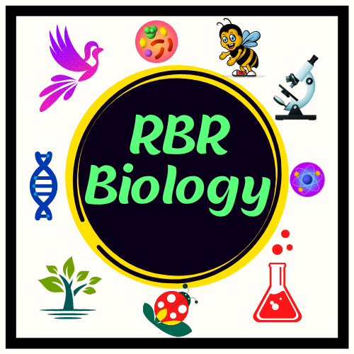 RBR Biology