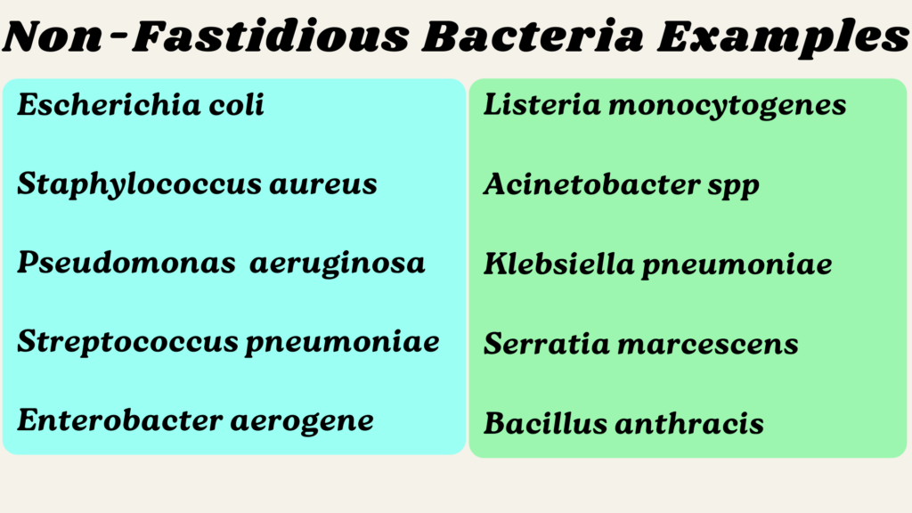 non-Fastidious-Bacteria-Examples-in-hindi